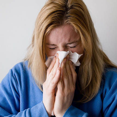 Vue interieure de la Pharmacie du Champ de Mars